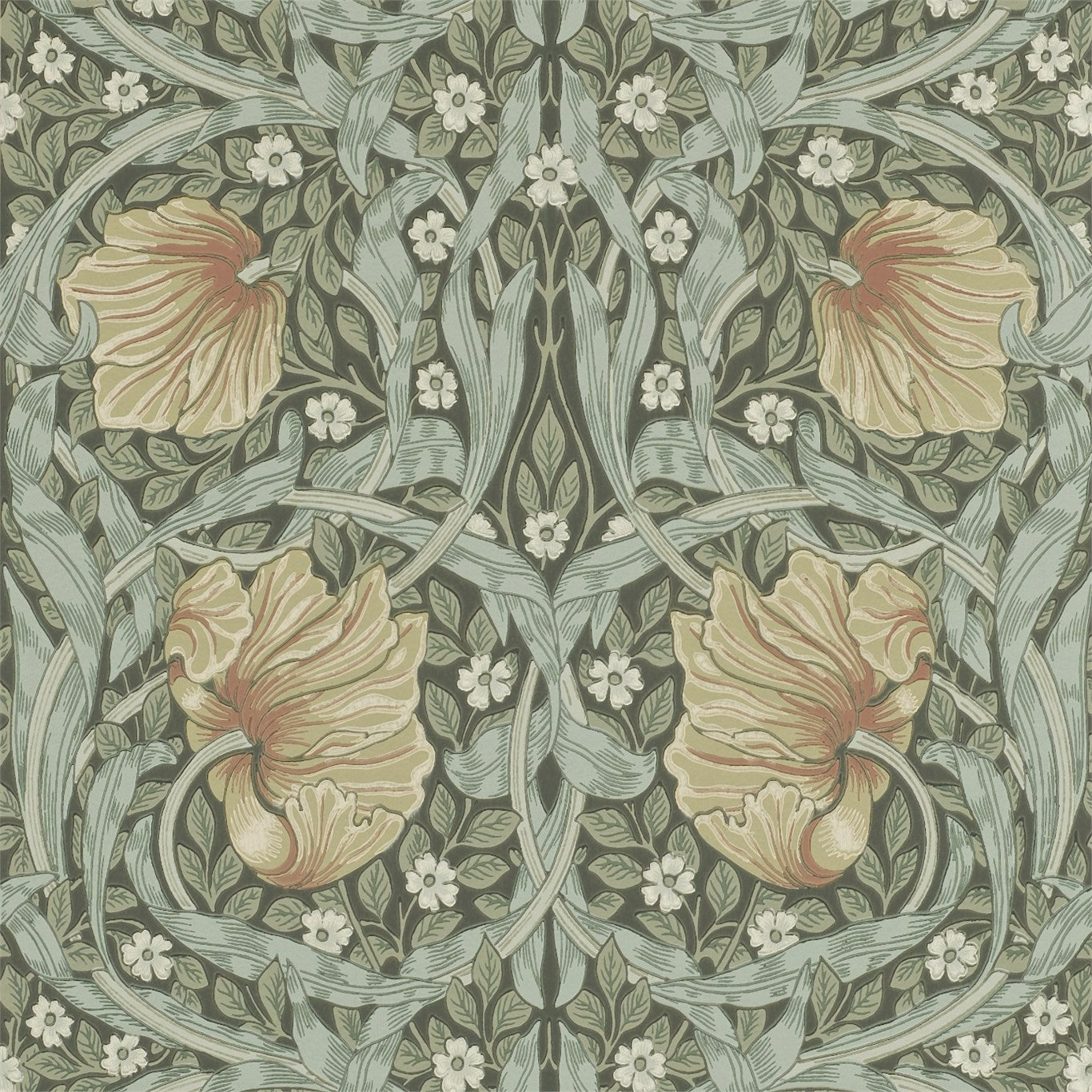 DM6P210388, Morris & Co. Pimpernel Wallpaper