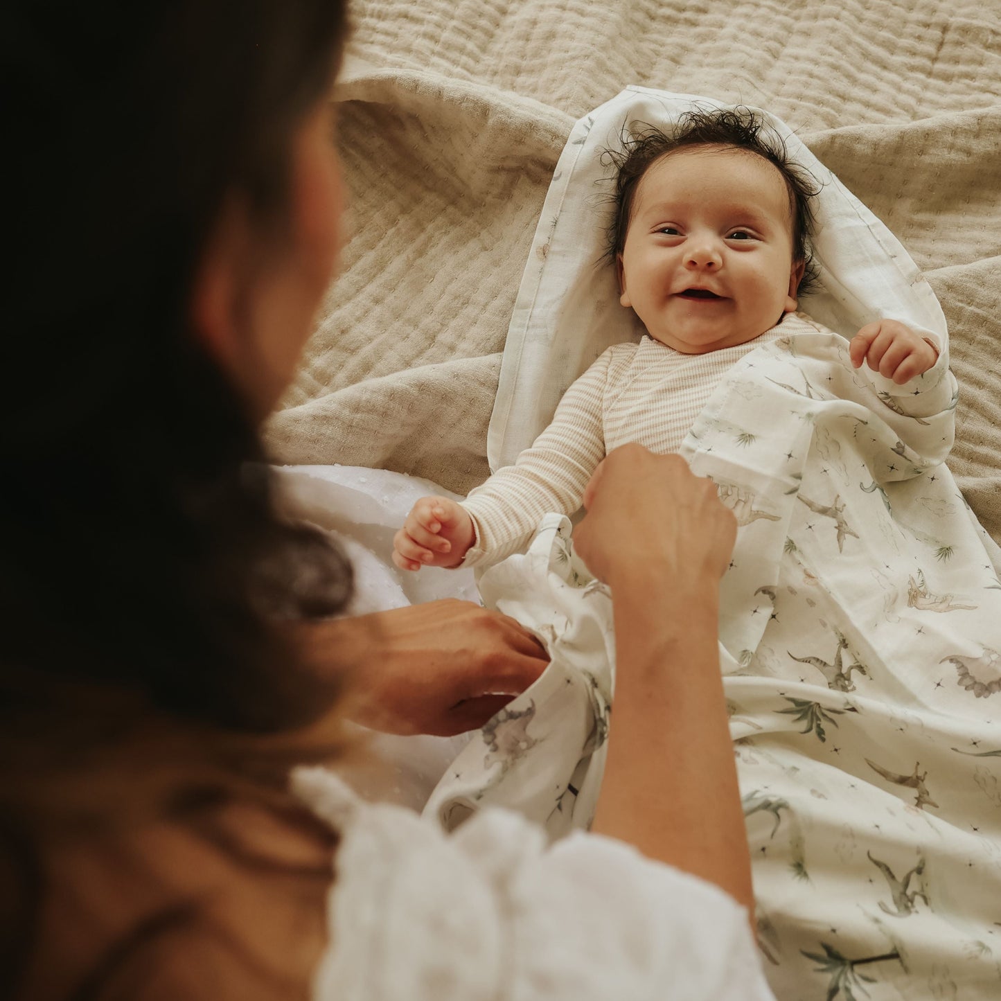 Gooslings Dino Dreams Swaddle - Sage