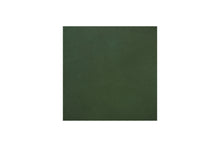 MDBFABRIC103,Namesake,NAMESAKE - Forest Green Velvet (FGV) SWATCH