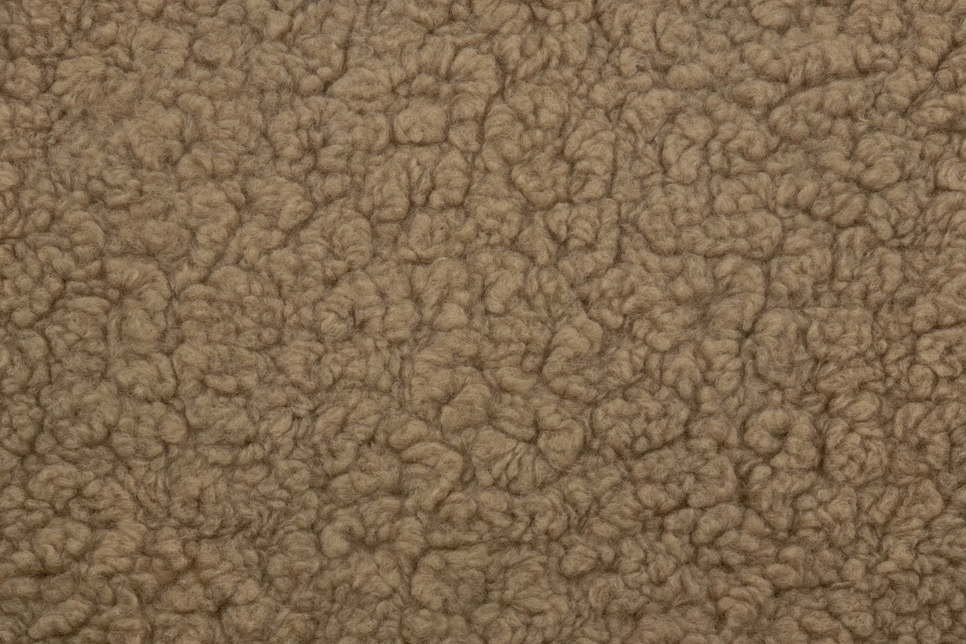 MDBFABRIC151,Namesake,Namesake - Cortado Shearling (CTS) SWATCH