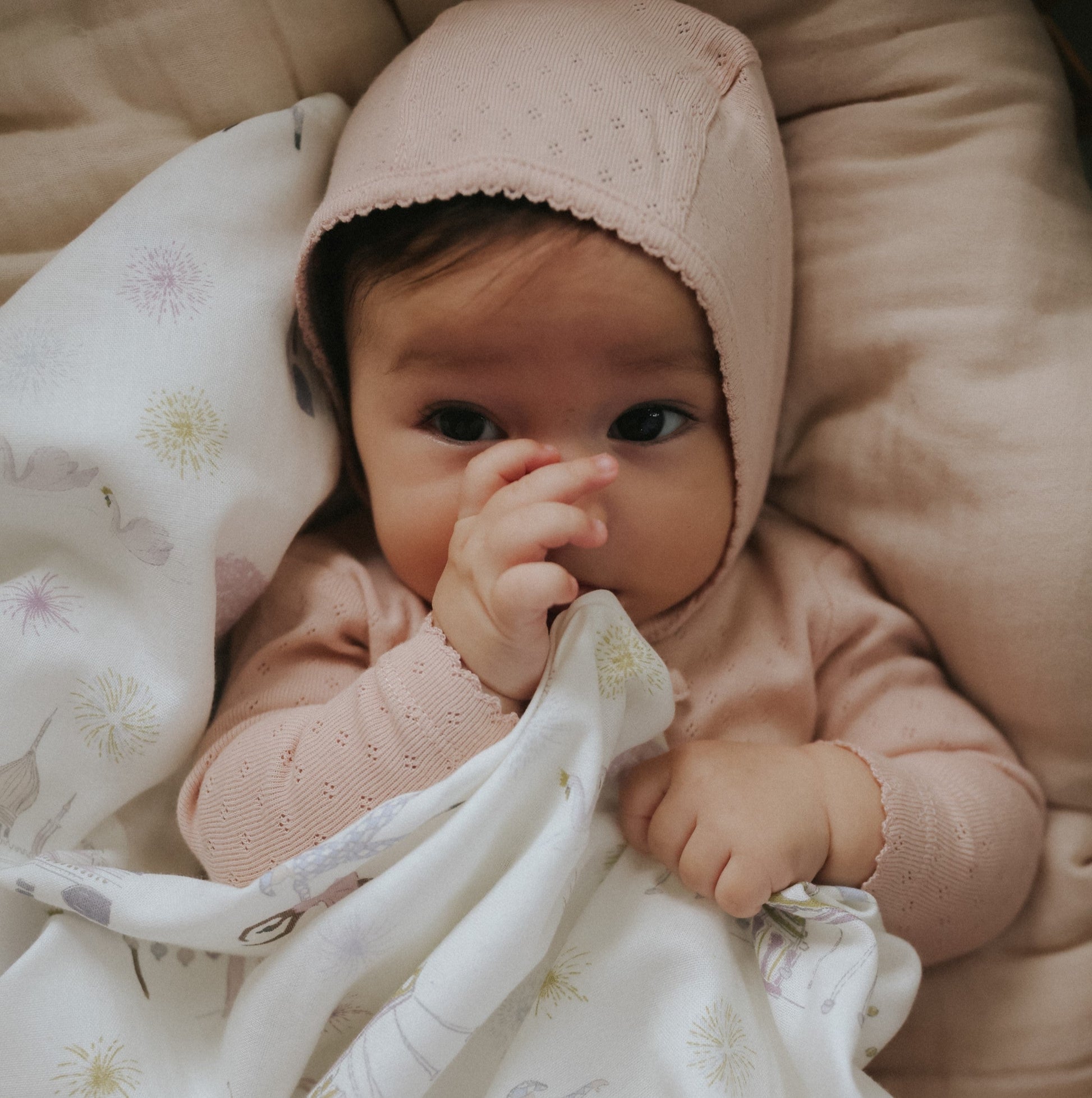 SW-TIV102,Adventures in Wonderland Swaddle - Rose