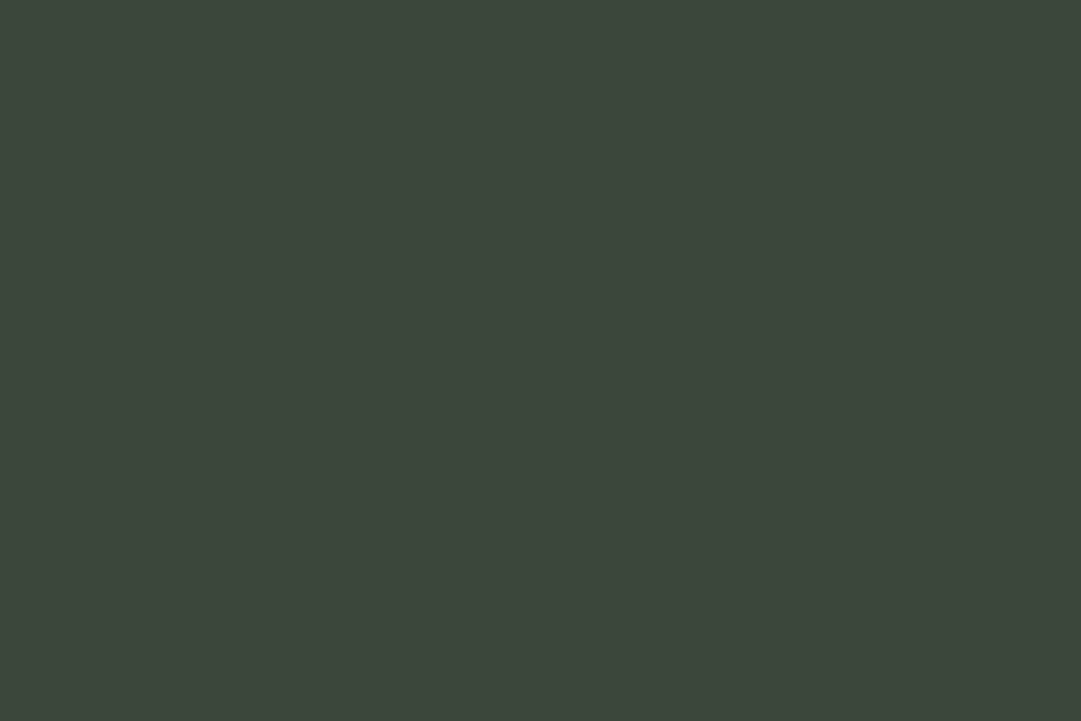 SWATCH208,Namesake,Namesake - Forest Green (FRGR) SWATCH