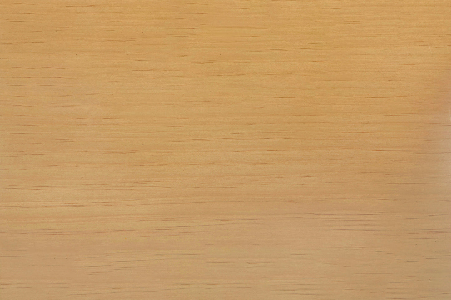 SWATCH217,Namesake,NAMESAKE - Honey (HY) SWATCH