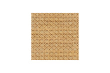 SWATCH231,Namesake,Namesake - Honey Cane (HCN) SWATCH