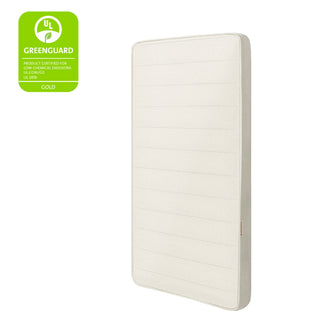 Essential 5" Trundle Mattress