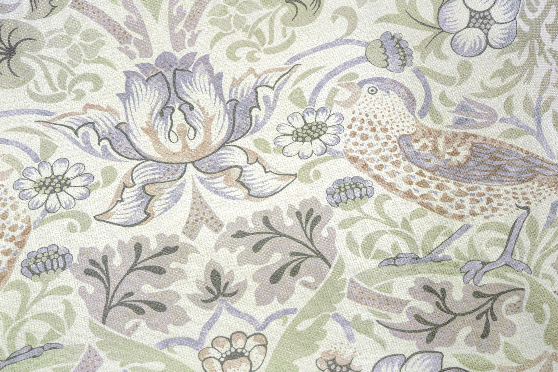 MDBFABRIC185,Namesake,Namesake - Strawberry Thief in Fig & Thyme (TTFT) SWATCH