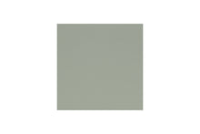 MTLSWATCH174,Namesake,Namesake - Heirloom Sage (HS) SWATCH